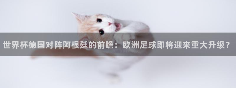 世界杯附加赛赛程表:世界杯德国对阵阿根廷的前瞻:欧洲足球即将迎来重大升级?