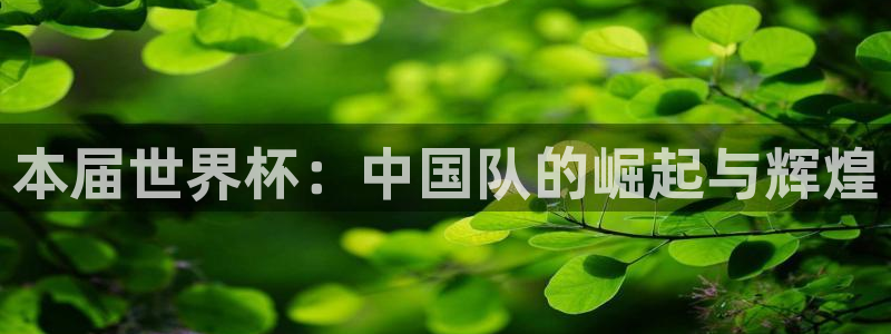 世界杯视频:本届世界杯:中国队的崛起与辉煌