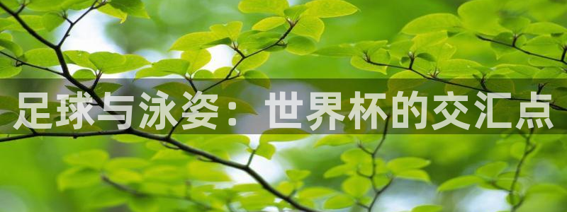 2026年世界杯赛程表时间:足球与泳姿:世界杯的交汇点