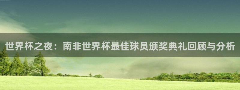 世界杯足球直播:世界杯之夜:南非世界杯最佳球员颁奖典礼回顾与分析