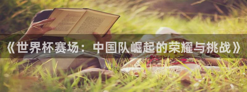 世界杯球队:《世界杯赛场:中国队崛起的荣耀与挑战》