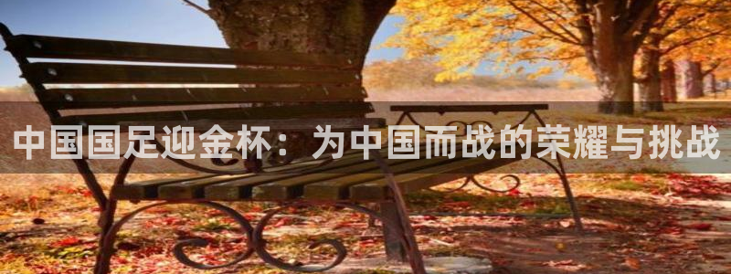 2026世界杯德国队阵容:中国国足迎金杯:为中国而战的荣耀与挑战