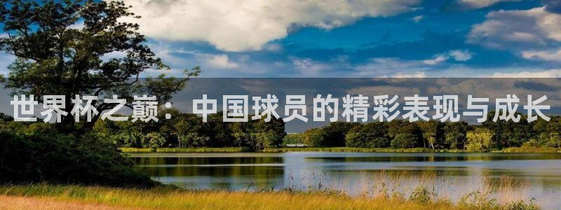 世界杯预选赛亚洲区积分榜:世界杯之巅:中国球员的精彩表现与成长