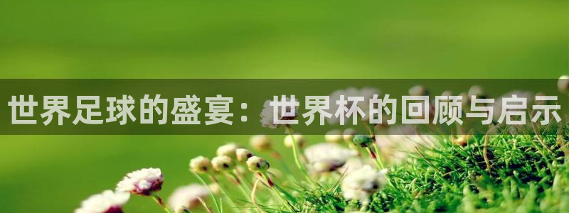 世界杯对阵表:世界足球的盛宴:世界杯的回顾与启示