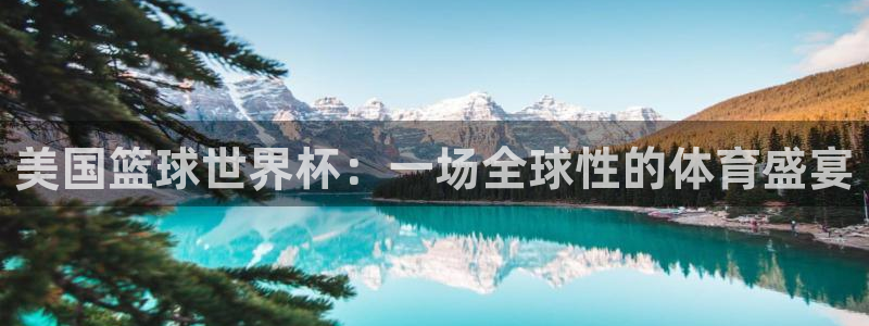 世界杯球赛:美国篮球世界杯:一场全球性的体育盛宴