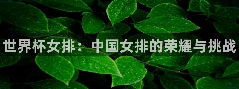 世界杯直播在线观看入口:世界杯女排:中国女排的荣耀与挑战