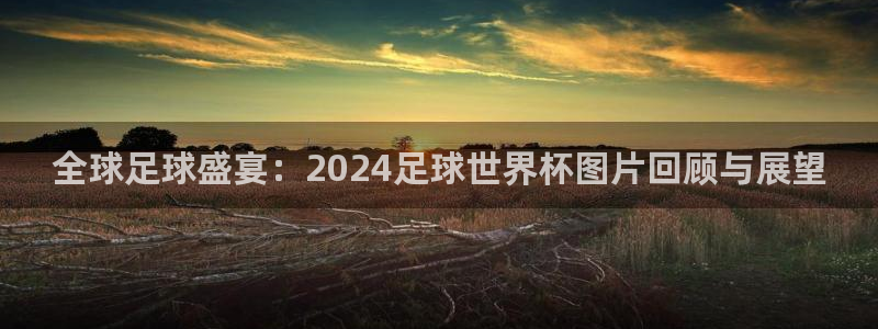 亚洲杯足球:全球足球盛宴:2024足球世界杯图片回顾与展望