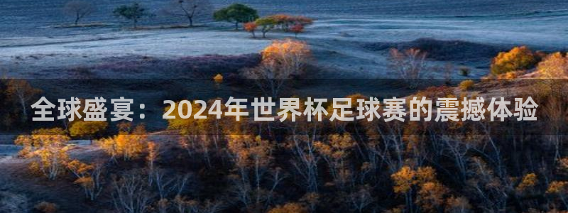 世界杯2026预选赛:全球盛宴:2024年世界杯足球赛的震撼体验